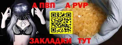 стаф Гудермес