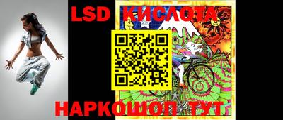 стаф Гудермес
