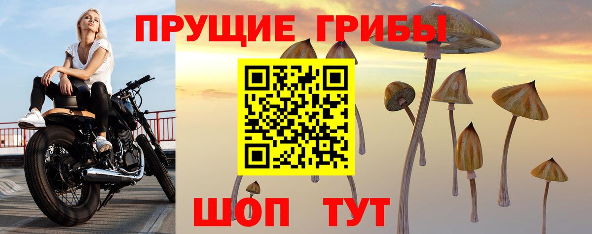 Галлюциногенные грибы мухоморы Нурлат