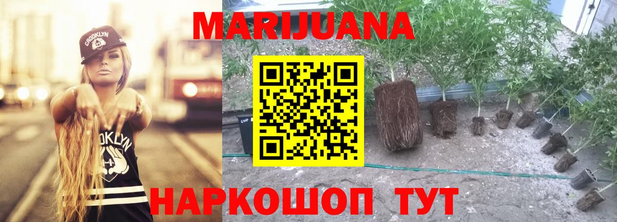 Марихуана семена Нурлат